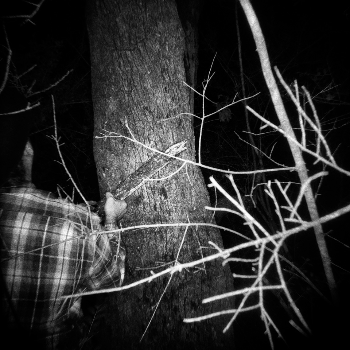 With Wails We Roam - Texas Sport Dog Hunting_0014