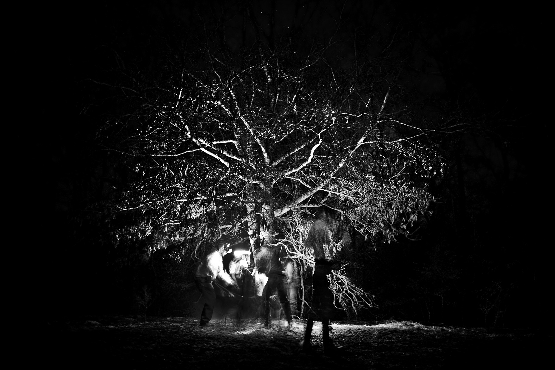 With Wails We Roam - Texas Sport Dog Hunting_0012